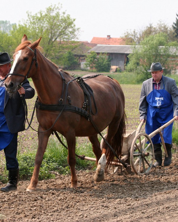 Turistično društvo Cven