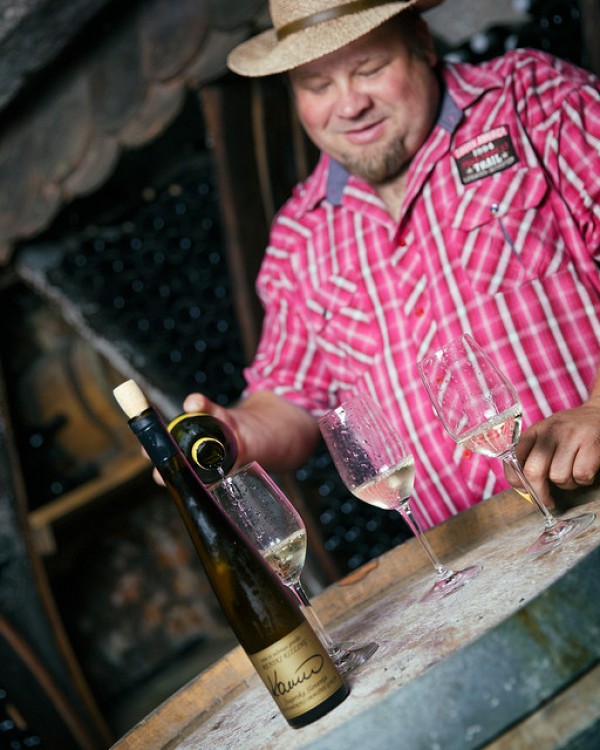 VINOreja Kaučič